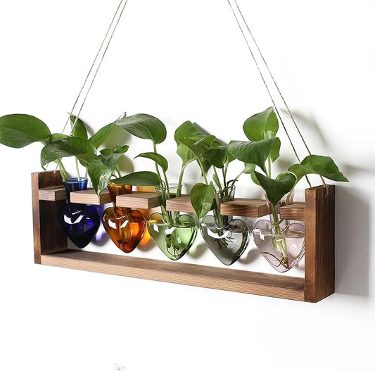 Plant Terrarium Hanging Propagation Stations Gift for Women Plant Lover air Plant Holder with Wooden Stand Heart Glass