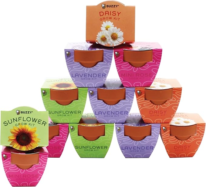 BUZZY Seeds Terracotta Mini Grow Pots | Flower Starter Kit for Kids & Adults | Assorted 12-Pack, Bright Series Collection, Daisy, Lavender, Mini Rose, Sunflower | Gardening Gift, Party Favors
