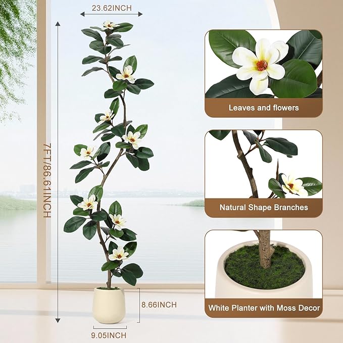 7FT Tall Artificial Rubber Tree with White Planter, Large Fake Magnolia Tree with Flowers & Green Leaves, Big Faux Floor Plant for Indoor Living Room Office Home Decor