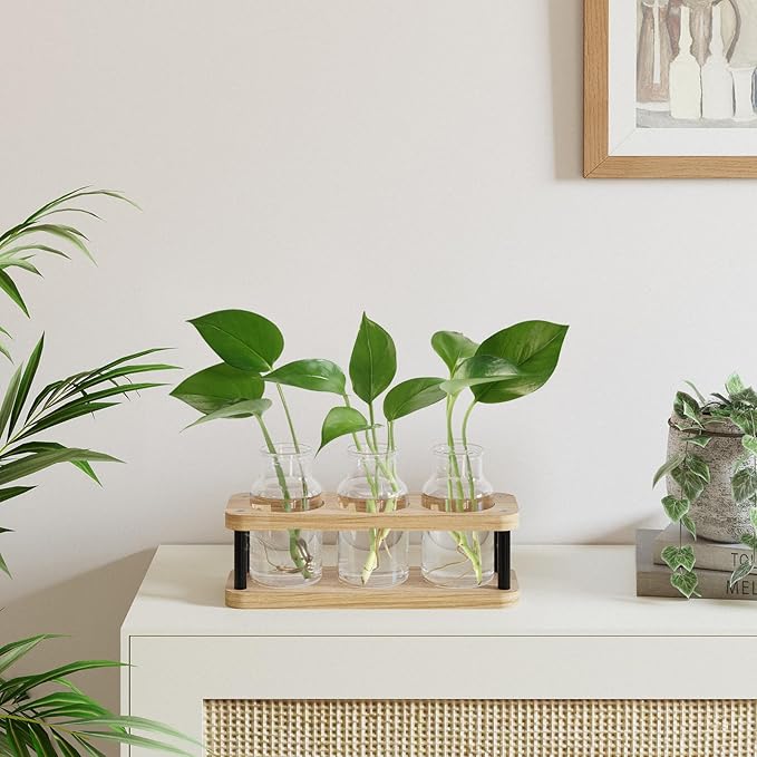THYGIFTREE Plant Propagation Station with Wooden Stand, Propagation Vases Glass Planters for Indoor Plants Hydroponic Propagating Jars Home Office Decor, Plant Lover Gifts