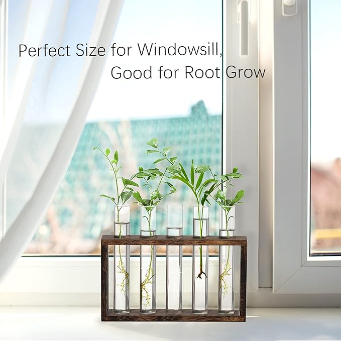 XXXFLOWER Plant Terrarium Wooden Stand with 5 Test Tubes,Glass Planters for Indoor Plants,Plant Lover Gifts for Women Garden Office Decoration