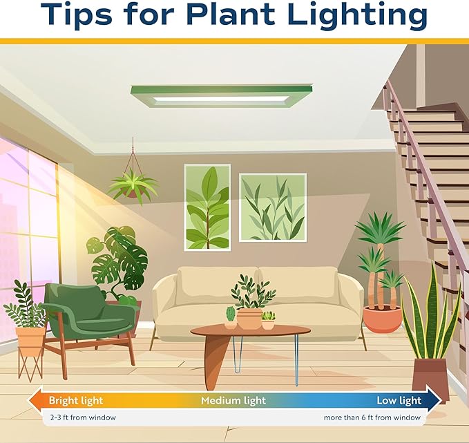 Costa Farms Philodendron Painted Lady Live Plant in Self Watering Pot, Air Purifying Indoor Houseplant, Home, Room, or Office Decor, House Warming or Birthday Gift, 12-16 Inches Tall