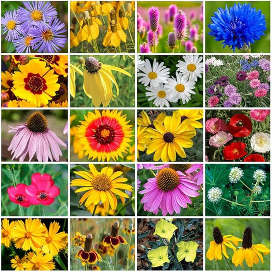 Park Seed Grow Your Own Vibrant Annual and Perennial Wildflower Garden Seeds Mixture, Easy to Grow Varieties for Pollinators and Spring Gardens - Midwest Regional Mix, 5 lbs