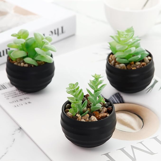 Der Rose Set of 6 Succulents Plants Artificial in Pots Small Fake Plants for Halloween Decorations Bedroom Living Room Office Shelf Black Bathroom Decor