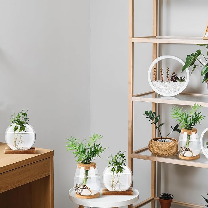 Layhit 4 Pcs Plants Propagation Stations vases Glass Planters with Wooden Lid and Bamboo Stand for Hydroponic Plants Gardening Gifts for Women Mom Home Office Tabletop Decoration(Cute Style)