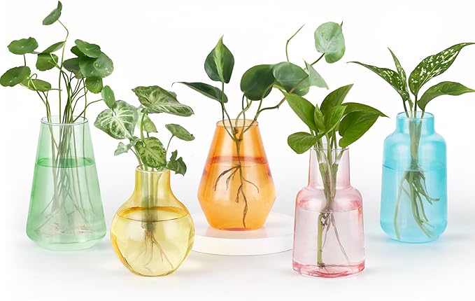 Mkono Propagation Vases for Plants, Set of 5 Small Glass Jar Planters for Hydroponic Cutting Flowers, Plant Station Bud Vases for Centerpieces Home Office Decor Gift (Colorful)