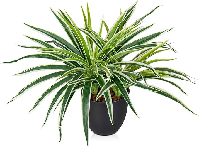 Fake Hanging Plant, Faux Spider Plant in Pot Artificial Grass Plants 12 Inch Faux Chlorophytum Comosum Potted Plants for Home Office Table Shelf Desk Kitchen Bathroom Bedroom Decor