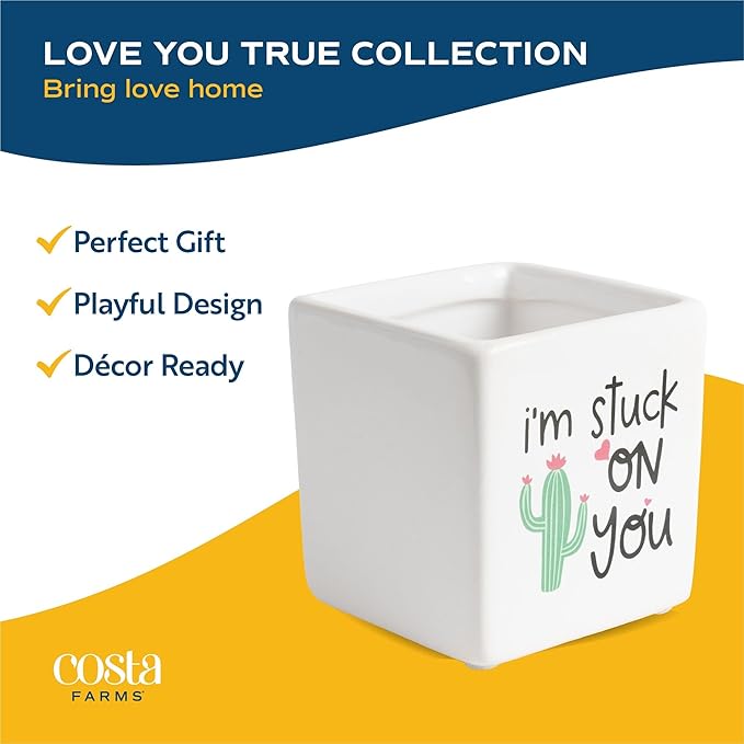 Costa Farms Hoya Heart Live Plant in Decorative Pot, Easy to Maintain Succulent Indoor Houseplant, Perfect for Home, Room, or Office Decor, Great House Warming or Birthday Gift, 5 Inches Tall