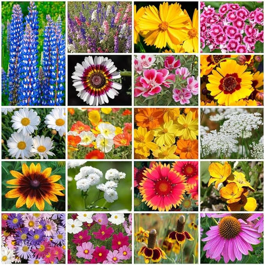 Park Seed Grow Your Own Vibrant Annual and Perennial Wildflower Garden Seeds Mixture, Easy to Grow Varieties for Pollinators and Spring Gardens - Cutting Garden Mix, 1 lb