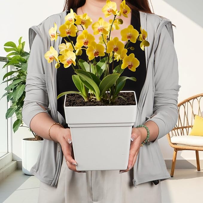 6-Pack 7'' Square Planters with Built-in Drainage Tray – Heavy-Duty Plastic Pots with Drainage Holes and Bottom Stopper, BPA-Free White Matte Planter Stackable for Indoor Plants, Herbs, Flowers