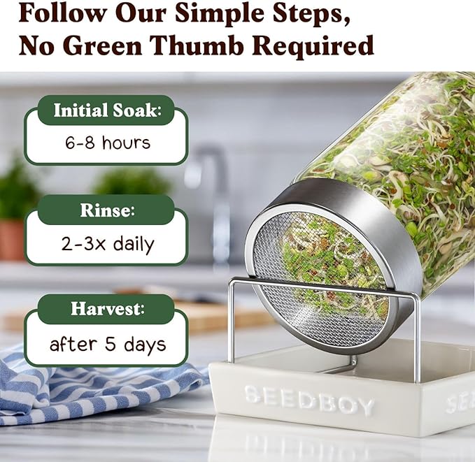 Seedboy Organic Sprouting Seeds - Salad Blend Variety- Non-GMO, USA Grown Microgreens Mix - Alfalfa, Broccoli, Radish, Mung Bean, Lentil - Makes 8 Quarts of Sprouts, 24 Servings (8 oz) (Salad Blend)