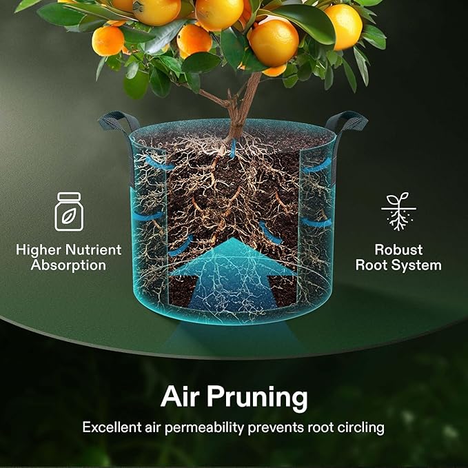 VIVOSUN 20-Pack 3 Gallon Grow Bags, Heavy Duty Thickened Nonwoven Fabric Pots with Handles for Flowers Fruits and Vegetables Black