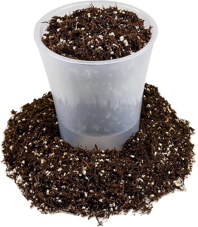 Premium Organic Potting Soil, Succulent & Cactus Soil Mix, Fast Draining Pre-Mixed Blend - Horticultural Perlite (25%) + Peat Moss (75%) - Made in USA - 5 Quart