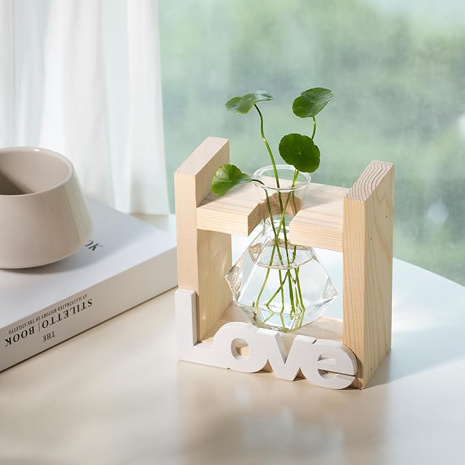 Cute Room Decor Home Decor Office Decor Desk Accessories Women Birthday Present Wife Ideas Propagation Station Vases Plant Terrarium Stuff Grandma Items Valentinesday Decorations for Her