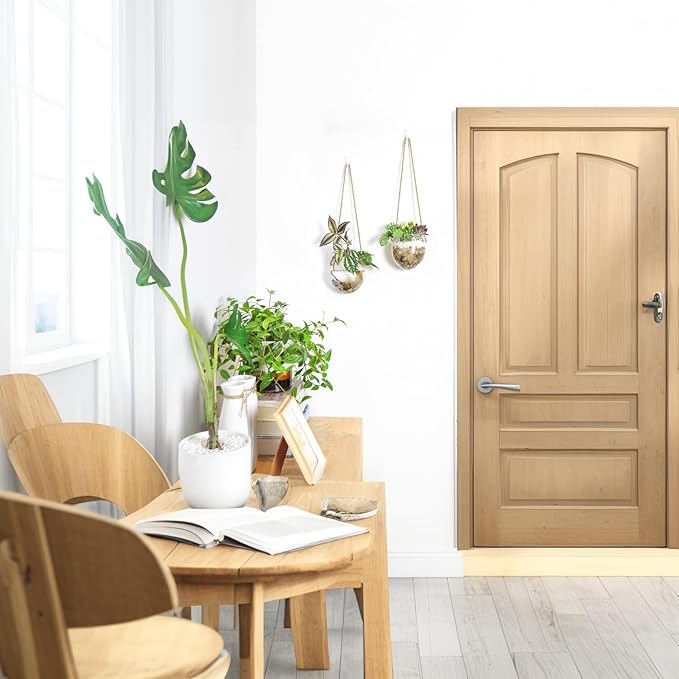 Propagation Station, Plants Terrarium, Plants Lover Gifts for Women,Plant Cutting Holder Home décor,Gifts for Women,House Warming New Home-2 Bowl Shape