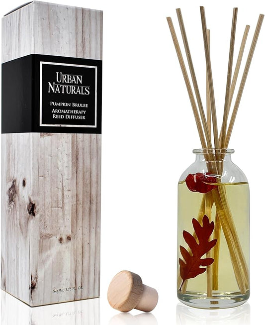 Urban Naturals Pumpkin Brulee Scented Sticks Reed Diffuser Oil Set | Fall & Winter Home Scent | Creamy Pumpkin Pie, Nutmeg & French Vanilla | Beautiful Autumn Home Decor | Great Gift Idea