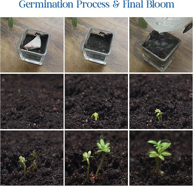 Plantable Bottle Shaped Seed Paper – 5 Blue Baby Shower Favors for Guests with Wildflower Seeds, Baby Shower Gifts for Guest