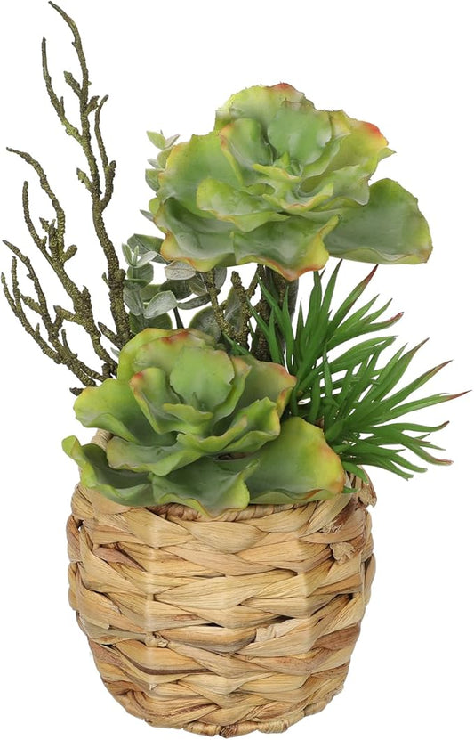 10" Large Succulents Plants Artificial in Wooden Pots, Potted Faux Succulent Arrangement with Woven Pots, Fake Desk Succulents Plants for Home Bathroom Shelf Table Indoor Decor