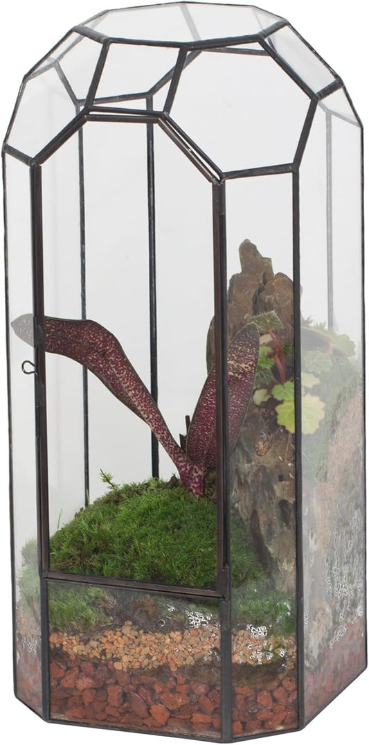 NCYP Glass Geometric Plant Terrarium with Door for Succulent Plants, Cacti - 5.5"x5.5"x12.8" - Indoor Vintage Tall Octagon Planter, Home Garden Office Tabletop Decoration (Terrarium Only)