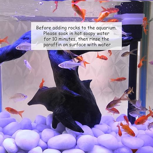 10 lbs Large River Rocks for Landscaping, 2-3 inch Polished White Pebbles for Plants, Decorative White Stones for Planters Vase Aquarium and Outdoor Garden Rocks