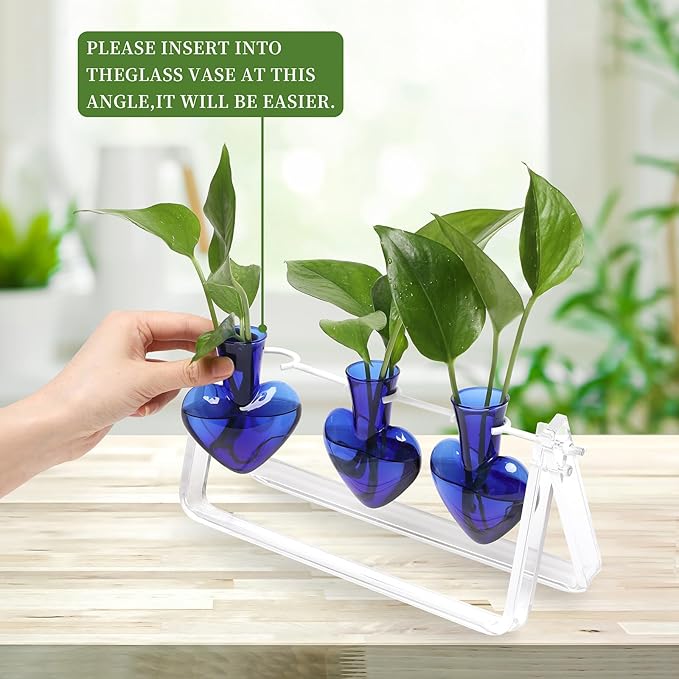 Clear Plant Terrarium Propagation Stations with Acrylic Stand Birthday Gifts for Women Office Home Decor