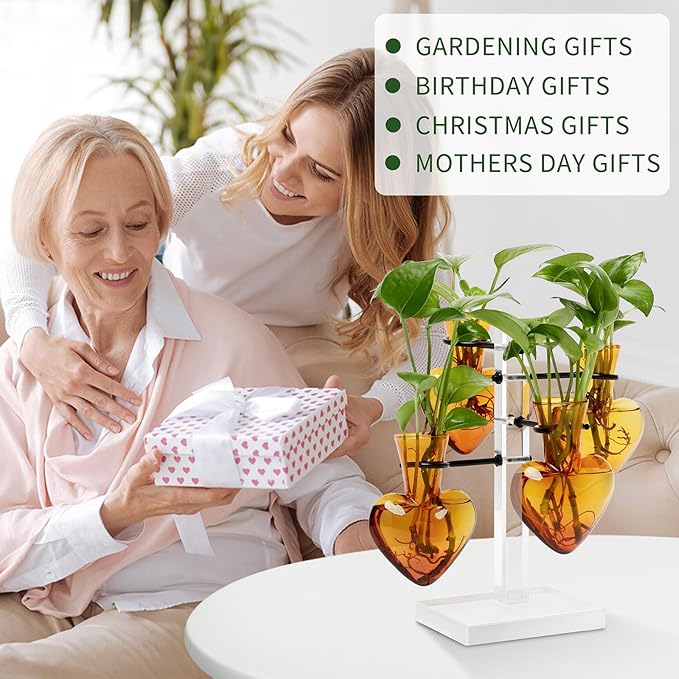 Plants Propagation Stations Plant Terrarium Kit Gift for Women Birthday Glass Planters for Indoor Plants Home Office Decor Acrylic Plant Accessories - 4 Love Hear Vase