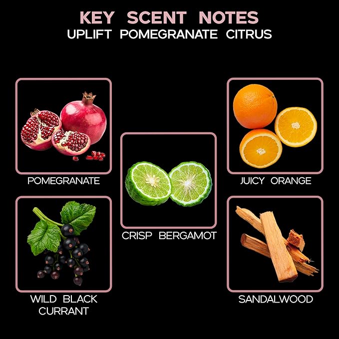 LOVSPA Reed Diffuser Set, Uplift Pomegranate Citrus Scented Oil Diffuser with Sticks, Home Fragrance Accessories for Bathroom Shelf Decor, Aroma Diffusers for Home or Office Desk, USA Made