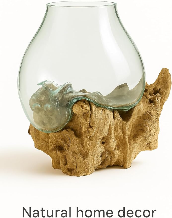 OMA Hand Blown Molten Glass on Driftwood Terrarium Vase or Planter – Recycled Glass & Natural Wood for Coastal & Boho Home Décor (12"–14" High)