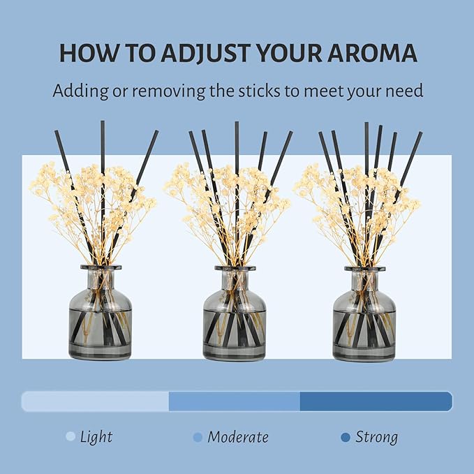 Brakula 2 Pack Reed Diffuser, Fresh Linen + Eucalyptus & Wild Mint (3.38 fl oz Each Pack), Home Fragrance with 12 Sticks, Shelf Decor, Reed diffusers for Home