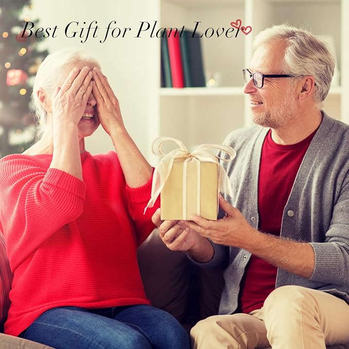 XXXFLOWER Plant Terrarium Wooden Stand, Hydroponic Planter Bulb Glass Metal Swivel Holder Retro Air Plants Water Plants for Home Office Decoration, Plant Lover Gifts - 2 Love Bulb Vase