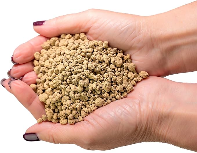 Organic Anthurium Soil Blend - Promote Strong Root Development and Beautiful Flowers - 20 QUARTS