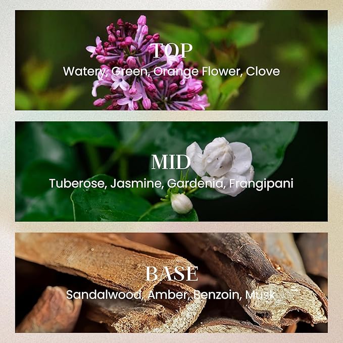 M&SENSE 10.14 oz Large Reed Diffuser Set | Gardenia Scent Oil Diffuser with Sticks |Hotel Collection Non-Toxic Essential Oil |for Bedroom Bathroom Living Room