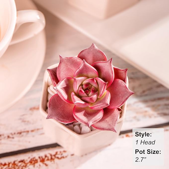 Echeveria Agavoides Romeo Rare Live Succulent Plants, Red 1 Head 2.7" Live Plant, Bare root without Pot Soil, Garden Indoor Office Desk, Wedding Party Baby Shower Decoration, Friend Plant Lovers Gifts