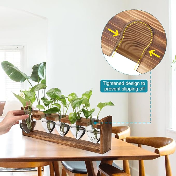 Plant Terrarium Hanging Propagation Stations Gift for Women Plant Lover air Plant Holder with Wooden Stand Heart Glass