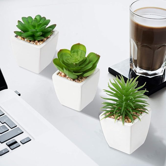 Hollyone Succulents Plants Artificial 3Pcs Small Fake Succulents in Pots Faux Plastic Potted Plants with White Ceramic Pot for Home Decor Classroom Office Bathroom Shelf Indoor & Outdoor Decorations