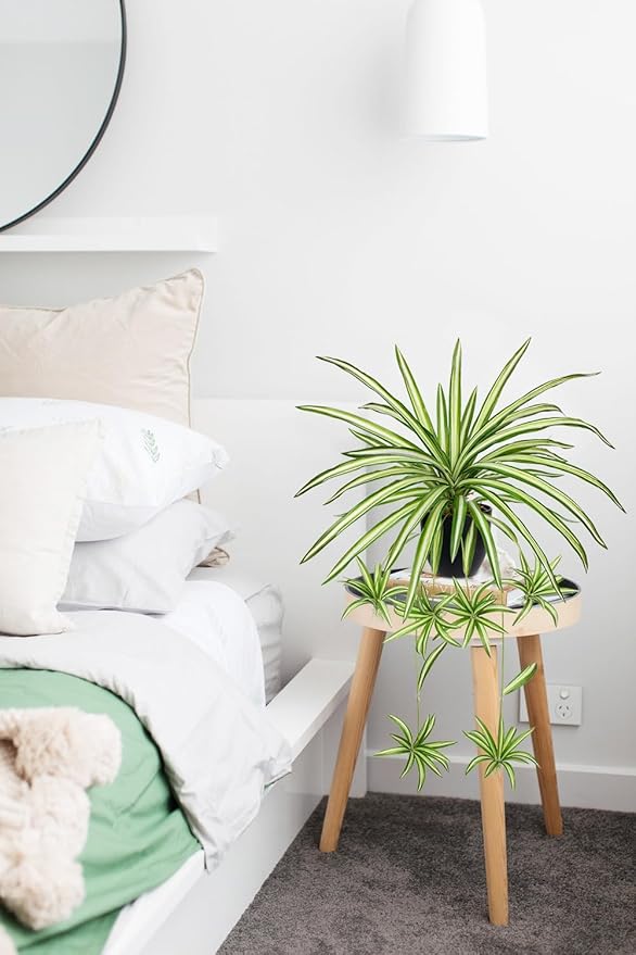 Fake Hanging Plant, Faux Spider Plant in Pot Artificial Grass Plants Faux Chlorophytum Comosum Potted Plants for Home Office Table Shelf Desk Kitchen Bathroom Bedroom Decor Cyan and White