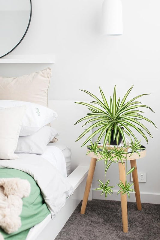 Fake Hanging Plant, Faux Spider Plant in Pot Artificial Grass Plants Faux Chlorophytum Comosum Potted Plants for Home Office Table Shelf Desk Kitchen Bathroom Bedroom Decor Cyan and White