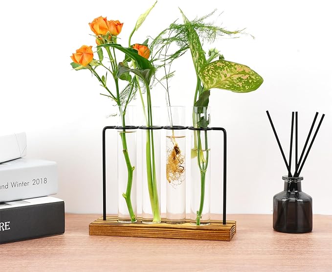 Plant Propagation Station, Glass Tubes for Indoor Hydroponic Plants & Flower Stems, Home/Office Decor, Birthday Gifts for Women, Gardening Gifts for Mom