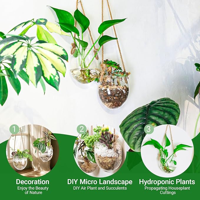 Propagation Station, Plants Terrarium, Plants Lover Gifts for Women,Plant Cutting Holder Home décor,Gifts for Women,House Warming New Home-2 Bowl Shape