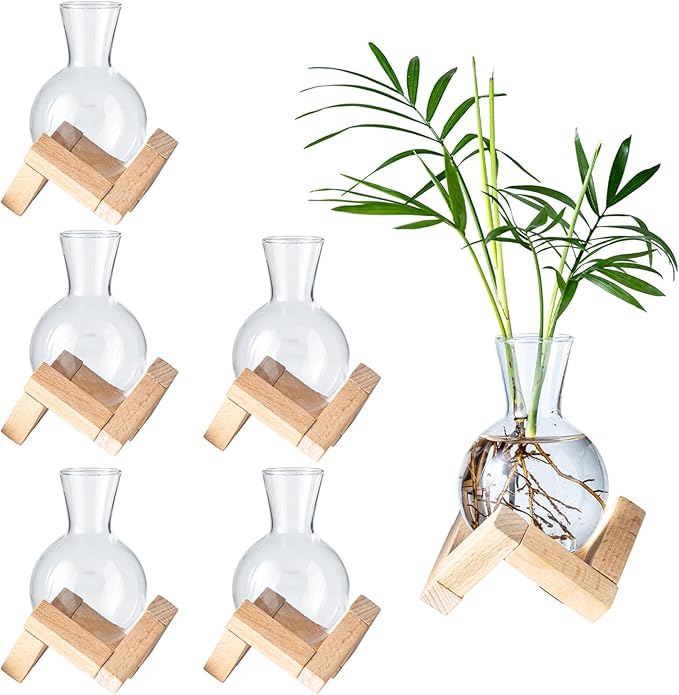 Propagation Stations, Propagation vases with Wooden Stand, Small Tabletop Glass Bulb Vases for Hydroponics Plant Propagation Station Home Office Decoration, Gift for Women Plant Lovers (6)