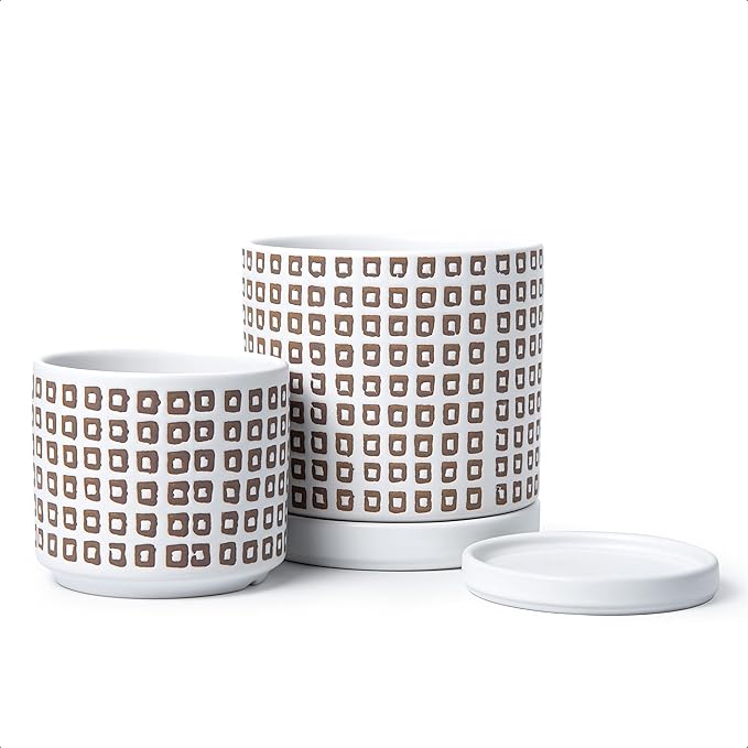D'vine Dev Set of 2 Ceramic Planter Pots with Drainage Hole and Saucer, 4.5 Inch 6 Inch Plant Pots for Plants Indoor Houseplants, White, 99-A-1
