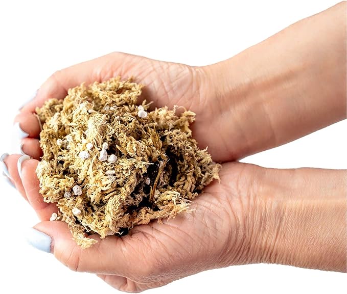 Premium Albuca Spiralis Potting Soil Mix - Perfect Balance of Nutrients, Drainage, and Aeration for Thriving Blooms - 10 Quart