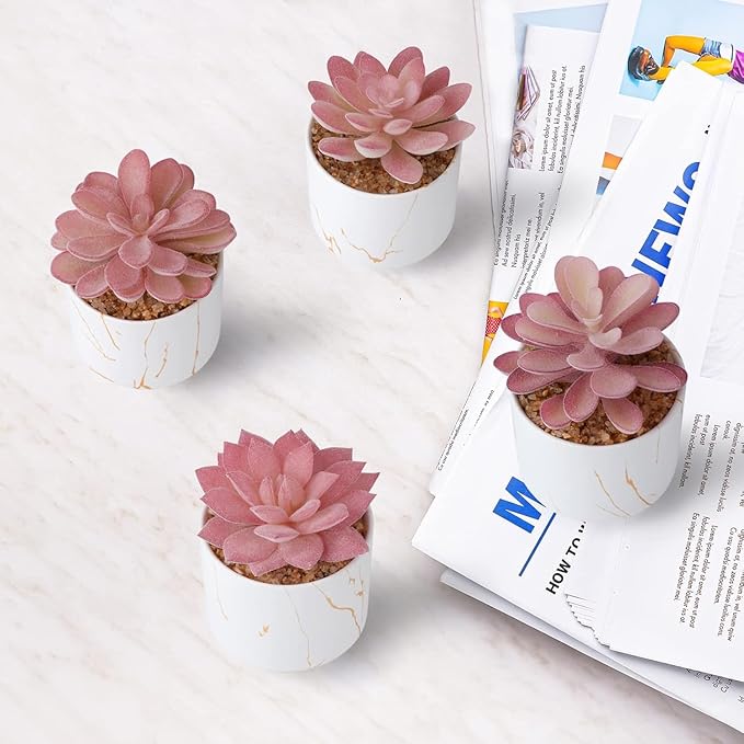 Succulent Artificial Plants,Cute Fake Succulents in 4 White Ceramic Pots,Small Fake Plants for Office,Table,Desk,Bathroom, Bedroom,Aesthetic Room Shelves Decor,Desk Decorations for Women Office