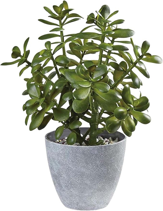 Westcharm 16 in. Potted Faux Jade Plant Home Décor | Artificial Crassula Ovata Succulent Money Tree in Melamine Pot | Fake Greenery for Office, Home, Kitchen, Bathroom, Bookshelf