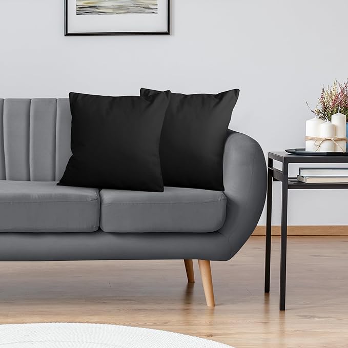 Utopia Bedding Throw Pillows Insert (Pack of 2, Black) - 22 x 22 Inches Bed and Couch Pillows - Indoor Decorative Pillow