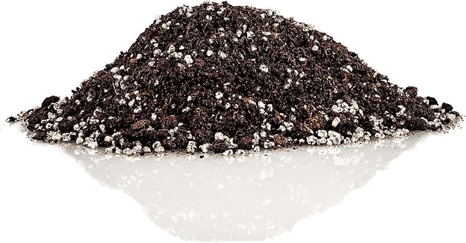 Premium Jade Plant Potting Soil Mix - 10 Quart (2 Bags of 5 Quart)