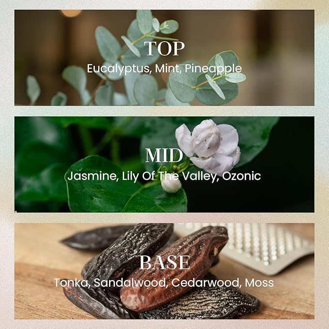 M&SENSE 10.14 oz Large Reed Diffuser Set | Eucalyptus Mint Scent Oil Diffuser with Sticks | Hotel Collection Non-Toxic Essential Oil |for Bedroom Bathroom Living Room