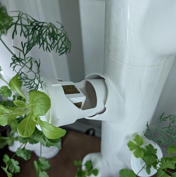 Grow Cubes for Hydroponic System/Compatible with Gardyn (20 Cubes+Rockwool)