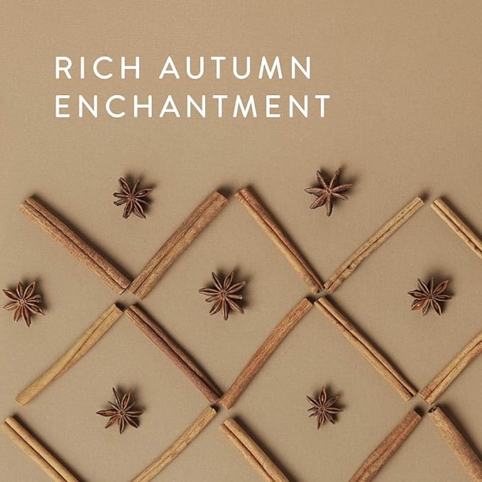 Thymes Petite Oil Reed Diffuser Set – Includes Reed Diffuser Sticks, Fragrance Oil, & Glass Bottle – Luxury Home Decor – Fall Decor – Fall Scents – Rose Gold (Simmered Cider, 4 fl oz)