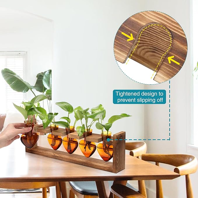 Plant Terrarium Hanging Propagation Stations Gift for Women Plant Lover air Plant Holder with Wooden Stand Heart Glass